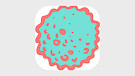 TrollAppDuplicator icon